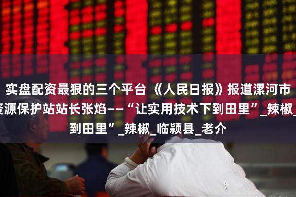 实盘配资最狠的三个平台 《人民日报》报道漯河市农业生态与资源保护站站长张焰——“让实用技术下到田里”_辣椒_临颍县_老介