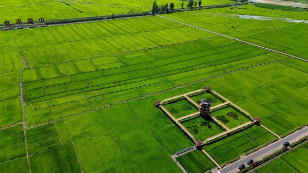 石家庄股票配资网 活力中国调研行|从这里一窥东北乡村的未来——走进光东村