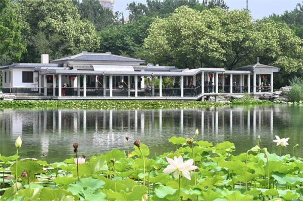 咸阳股票配资 入伏寻清凉 玉渊潭公园推出三处避暑宝地