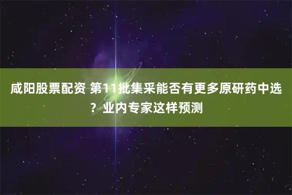 咸阳股票配资 第11批集采能否有更多原研药中选？业内专家这样预测